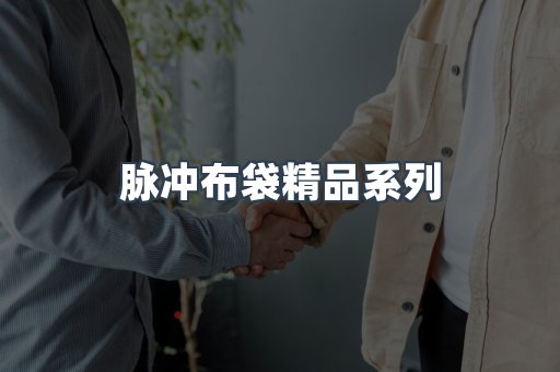 脉冲布袋精品系列